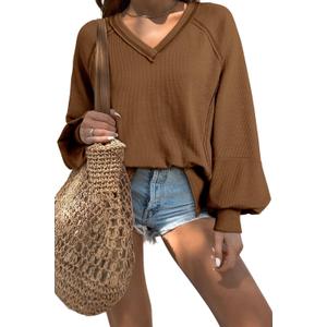 Acelitt Women Casual Fall Long Lantern Sleeve V Neck Lightweight Loose Blouse Tops, S (Brown)