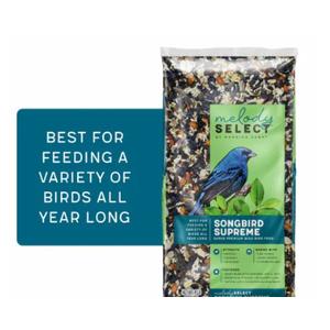 Morning Song 14062 Songbird Supreme Flavor Wild Bird Food, 8 LB 8 Pounds Sell By 08-22-25