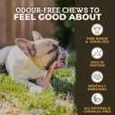 Bully Bunches Premium 12 Inch Standard Odor Free Bully Sticks for Small & Medium Dogs - Consistently Sized, Long Lasting Chews for Oral Care - All Natural Beef Dog Treats, (5 Pk)