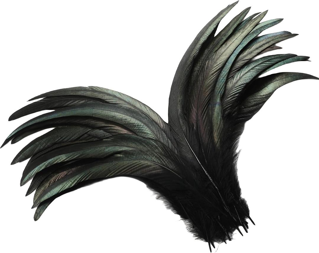 Holmgren Black Rooster Tail Feathers - 60pcs 12-14inch Natural Long Rooster Tail Feathers Bulk for DIY Crafts Costume and Halloween Party Performances Decoration (Black)