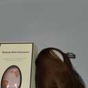 Dark Brown Real Human Hair Topper with Bangs Covers Thinning Crown, 10Inch Clip In Hair Topper for Thinning Hairpiece for White HairRoots Cover