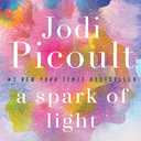 A Spark of Light: A Novel
