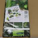 Preserved Reindeer Moss Natural Green DIY Kit Gardenning Art Wall Decor Florist Decor Easter Table Decor Wedding (1 lb, Color Mix-Green-(01+02+03+06+12))