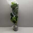 BESAMENATURE 30" Little Artificial Fiddle Leaf Fig Tree/Faux Ficus Lyrata for Home Office Decoration (2ft 4in)