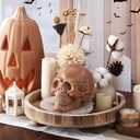 Halloween Terracotta Color Plastic Skull 5.9 Inch Life Size Human Skeleton Head Model for Halloween Indoor Outdoor Decor Party Centerpiece