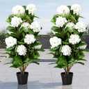 Faux Hydrangea Tree 35.5" Tall (2 Pack), Artificial Hydrangea Plant in Pot with White Flowers, Realistic Fake Hydrangea Tree for Indoor Outdoor Porch, Patio, Entryway & Home Decor