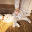 Soft 3-in-1 Silisone Spray Brush, Upgraded for Shedding, Cleaning and Spa Massage, Hair Removal, Best Water Steam Brush for Indoor Long or Short Haired Cat and Dog (White)