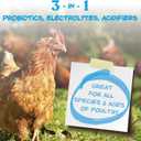 Manna Pro Hydro-Hen Chicken Electrolyte & Probiotic for Poultry, 20 oz