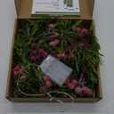 5.9FT Artificial Christmas Garland String Lights with 162 Snowy Red Berries 55 Green Leaves 20 LED Lights Battery Operated for Xmas Mantle Indoor Outdoor Holiday Christmas Thanksgiving Decoration