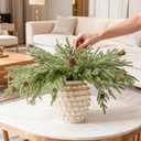 DN DECONATION Artificial Christmas Norfolk Pine Stems, Faux Pine Branches with Cones 22.4" 4PCS - Real Touch PE Greenery Fake Pine Needles for Vase Arrangements, Winter, Indoor Outdoor Home Decor