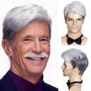 DDHAIR Old Man Gray Mens Wig Short Silver Grey Synthetic Grandpa Wigs for Male's Toupees Halloween Costume Seniors Hair (White mix Grey)