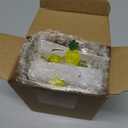 40 LED Pineapple Fairy String Lights Waterproof Battery Operated 8 Modes with Remote Control for Wedding, Party, Festival, Indoor, Outdoor (Pineapple)