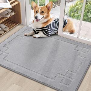 BEQHAUSE Door Mat 24" x 36", Non-Slip Door Mats Indoor Entryway Rugs Washable Low-Profile Absorbent and Stain Resist Floor Mats, Dog Door Mat for Front Back Door, Mud Wet Shoes & Paws, Light Grey
