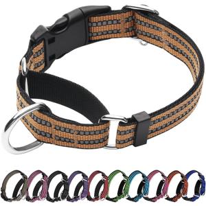 Martingale Dog Collar, Adjustable Nylon Reflective Collar with Quick Release Buckle (Turmeric Brown, Large)