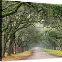 Hardy Gallery Green Forest Landscape Wall Art: Nature Canvas Oak Tree Lined Road of Savannah Artwork Picture Large Painting for Home Wall Decor (45'' x 30'' x 1 Panel)