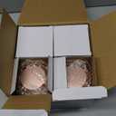 Lichamp LED Camping Lantern, 4 Pack Battery Powered Flashlight for Power Outages, Portable Collapsible Hanging Light Essential for Home, Outdoor, Emergency Lamp Survival Kit Gear for Hurricane,B4RG (Rose Gold)