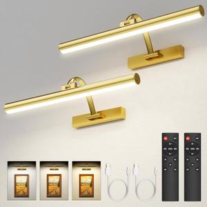 Picture Lights for Wall, 16.5" Rechargeable Art Light with Remote & Timer, 5200mAh Battery Operated Poster Lights, 3 Color Modes & 3 Brightness Levels for Pictures, Gallery, Photos (2 Pack)
