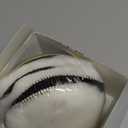 IPELY 6 Pcs 5 Inch Wool Polishing Buffing Pad Polishing Buffing Wheel for Drill Buffer Attachment with M14 Drill Adapter