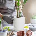 4 Inch 5 Pack Small Self Watering Pots for Indoor Plants, Nursery Pot with Drainage Holes and Saucers, Plastic Small Flower Planter for Succulent, Aloe, Cacti and More (White)