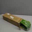 summer flower 8pack Fake Plants Weeping Willow Set Artificial Greenery Sterms Hanging Ivy Vine Plant Faux Garland Leaves UV Resistant for Outdoor Porch Party Garden Indoor Home Office Decoration