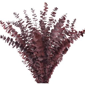 Real Dried Eucalyptus Stems, 20Pcs 17inch Red Preserved Fresh Eucalyptus Stems Plant for Home Vase Wedding Festival Floral Arrangement Fall Decoration