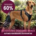 Dog Knee Brace for ACL, CCL, Arthritis, Joint Pain Hinged Leg Support for Torn Ligament, Luxating Patella, Rear & Hind Legs Orthopedic Compression & Mobility Recovery Wrap (Both Legs Large)