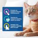 9Lives Daily Essentials Dry Cat Food for Adult Cats with Chicken, Beef & Salmon Flavors, 3.15 lb. Bag (Pack of 4) (EXP 05/08/27)