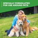 Simple Green Outdoor Odor Eliminator for Pets, Dogs, Ideal for Artificial Grass & Patio (32 oz Hose End Sprayer & 1 Gallon Refill)