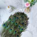 THARAHT 24pcs Peacock Feather Natural in Bulk 10-12 inch 25-30cm for Vase Craft Vase Wedding Home Party Christmas Day Decoration Peacock Feathers