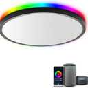 TALOYA Smart Ceiling Light Flush Mount LED WiFi, Compatible with Alexa Google Home, Black Dimmable Low Profile Ambient Light Fixture for Bedroom Living Room, 12 Inch 24W