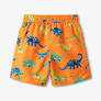 Boys Colourblock Dino Swim Shorts Size 10/12