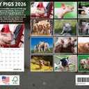 Baby Pig Calendar 2026 Wall 12 Month Piglet Gifts For Pigs Lovers Women Men Monthly Calender | American Made In The USA