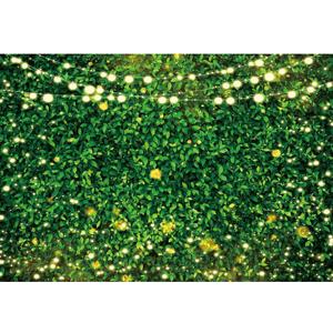 10x10ft Green Leaves Photography Backdrops Spring Nature Photo Backdrop Women Birthday Wedding Newborn Baby Shower Grass Wall Backdrop Spring Party Decor Background Banner Photo Props