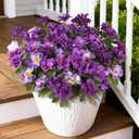Hommyea Artificial Fake Flowers for Outdoor, 8 Bundles Faux Plants Silk Flowers Spring Decoration UV Resistant No Fade Plastic Flowers for Outside Planters Home Porch Patio Yard Garden Decor (Double Purple)