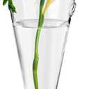 Clear Circular Cone Glass Wall Hanging Vase Flower Vase Bottle for Plant Holder Flower Creative Decor Cone Type Vase Succulent Planter Arrangement for Bedroom Kitchen Living Room Office