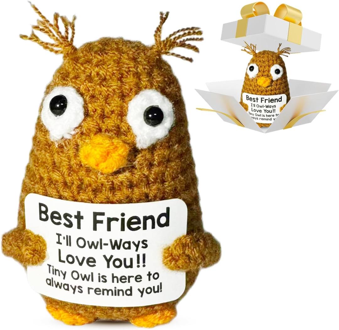 2 x CREEK CLOUD Positive Crochet Animal Gift, Owl Emotional Support Crochet Cute Ornament with Positive Card, Birthday Ester Gift for Women Men Coworkers Friend, Funny Desk Decor for Office Home