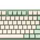 DROP Expression Series Shinai TKL Mechanical Keyboard - Holy Panda X Tactile Switches - PBT Double-Shot Keycaps - LED Backlight - Green