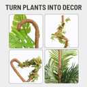 2 Pack 30 Inch Moss Pole for Plants, Moss Poles for Climbing Plants Monstera, Handmade Coco Coir Plant Pole, Monstera Plant Support for Plant Grow