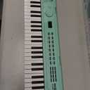 RockJam 49 Key Keyboard Piano, Portable Electronic Music Keyboard with Speakers, USB-C Power or Battery Operation, Headphone Input, 200 Tones, 200 Rhythms, Note Stickers & Lessons (Mint Green)