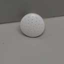 Watering Can Rose White