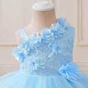 Baby Flower Girl One Shoulder Formal Wedding Dress 6M 9M 1st 2nd 3rd 4th 5t Birthday Cake Smash Outfits Floral Embroidery Toddler Tea Party Pageant Prom Bridesmaid Ball Gown Sky Blue 9-12 Months
