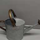 Megawodar 1 Gallon Metal Watering Can with Removable Spout, Nice Galvanized Steel Water Can with Embossed Design for Indoor and Outdoor Plants
