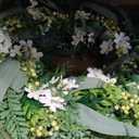 30inch Eucalyptus Wreath for Front Door - Large Artificial Greenery Outdoor Wreath, Spring Summer Decor Door Wreath with Olives Leaves,Mixed Berry for Porch,Window, Farmhouse, Home,Holiday, Hanging