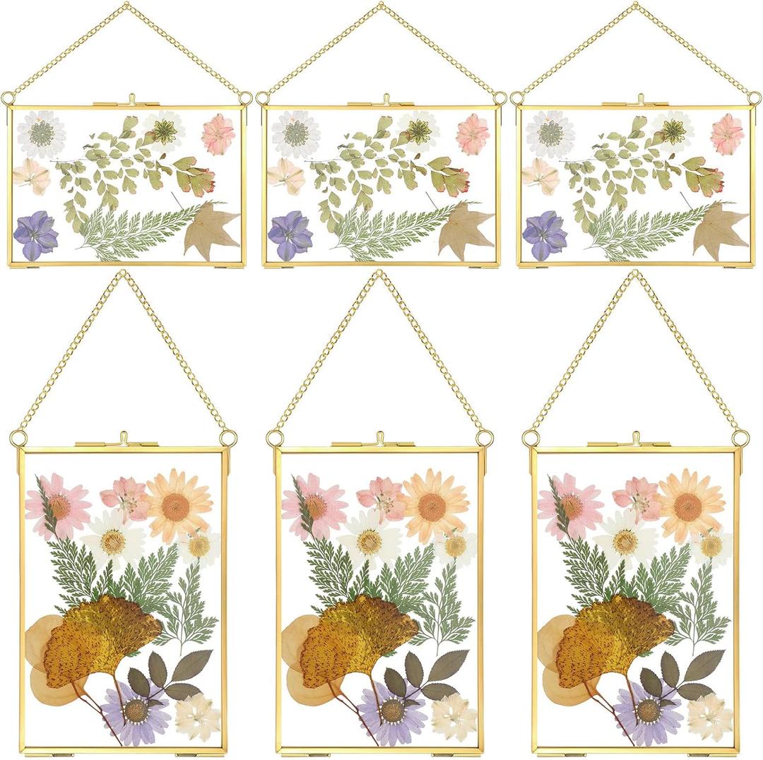 Treela 6 Pcs Pressed Flower Glass Picture Frames 6 x 4 Inch Brass Hanging Double Glass Frame Gold Floating Photo Frame Clear Horizontal Vertical Frames with Chain for Gallery Vintage Artwork Display