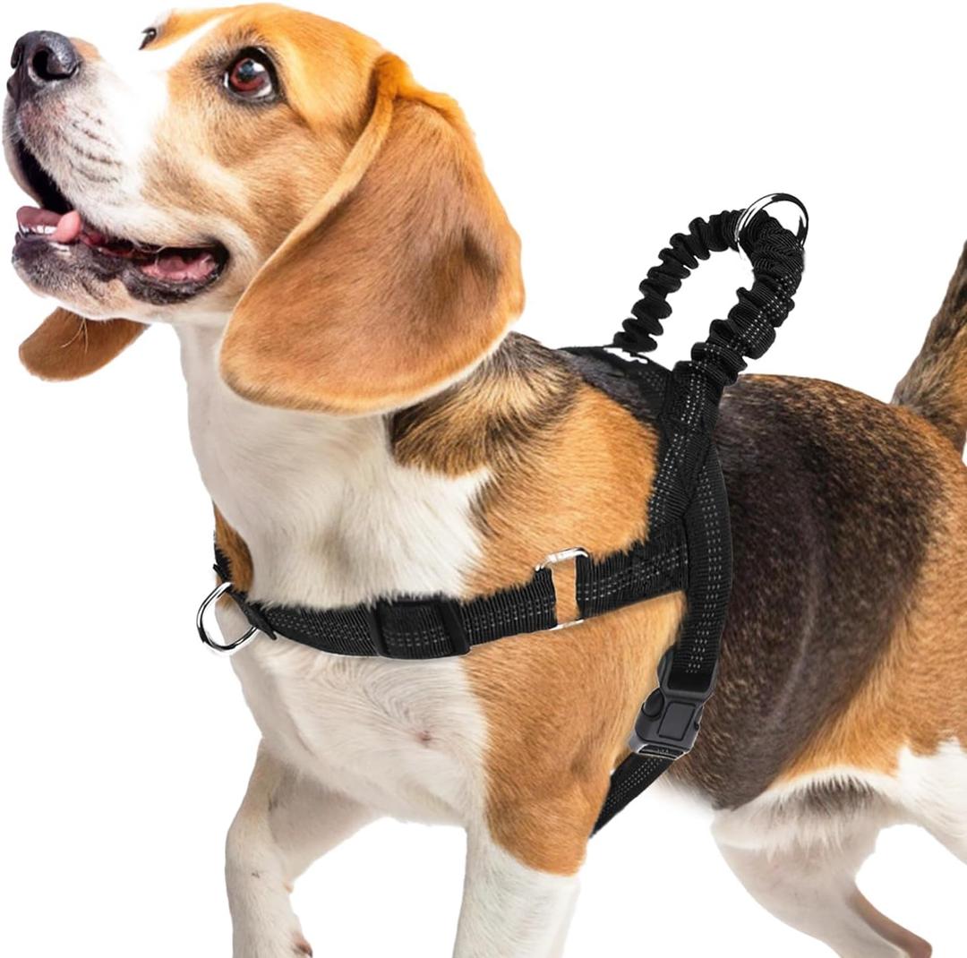 PUPTECK No Pull Dog Harness Medium Sized Dog, Adjustable Reflective Pet Vest Harness with Bungee Handle, Escape Proof No Choke Harness for Medium Dogs Walking Training, Black M (M (NECK: 16.5"-19.5", CHEST: 21.5"-28"))