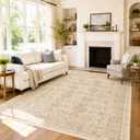 6x9 Area Rug Washable Non-Slip Living Room Rugs,Beige&Brown Area Rug
Soft Vintage Distressed Pattern Carpet for Bedroom Dining Room, Foldable Thin Floor Mat for High Traffic Areas