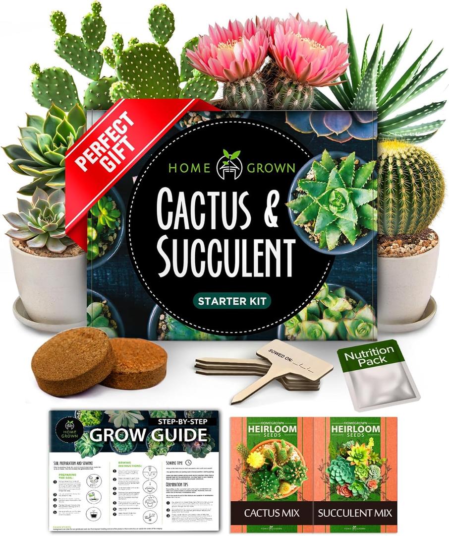 HOME GROWN Succulent & Cactus Seed Kit for Planting  [Enthusiasts Favorites] Premium Cactus & Succulent Starter Kit: 4 Planters, Drip Trays, Markers, Seeds Mix, Soil - DIY Gift Kits