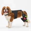 Dog Knee Braces for Back Leg, Adjustable Leg Brace with 2 Stabilizers, Hip Support to Reduces Pain, Ligament Injuries, ACL CCL & Luxating Patella for Small Medium Large Dogs, L-S