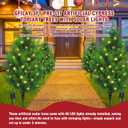 Gfialy Solar Powered Pre-Lit Artificial Shrubs, Set of 2 UV-Resistant Faux Cypress Topiary Trees for Outdoor Porch, Garden and Walkway Decor (34 inch)