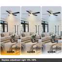 52 Inch Low Profile Gold Ceiling Fan with Lights, Modern Black and Gold Ceiling Fans with Remote/APP for Indoor Bedroom, Flush Mount, 12.2'' Large 3CCT LED Light Panel, 6-Speed Quiet DC Motor